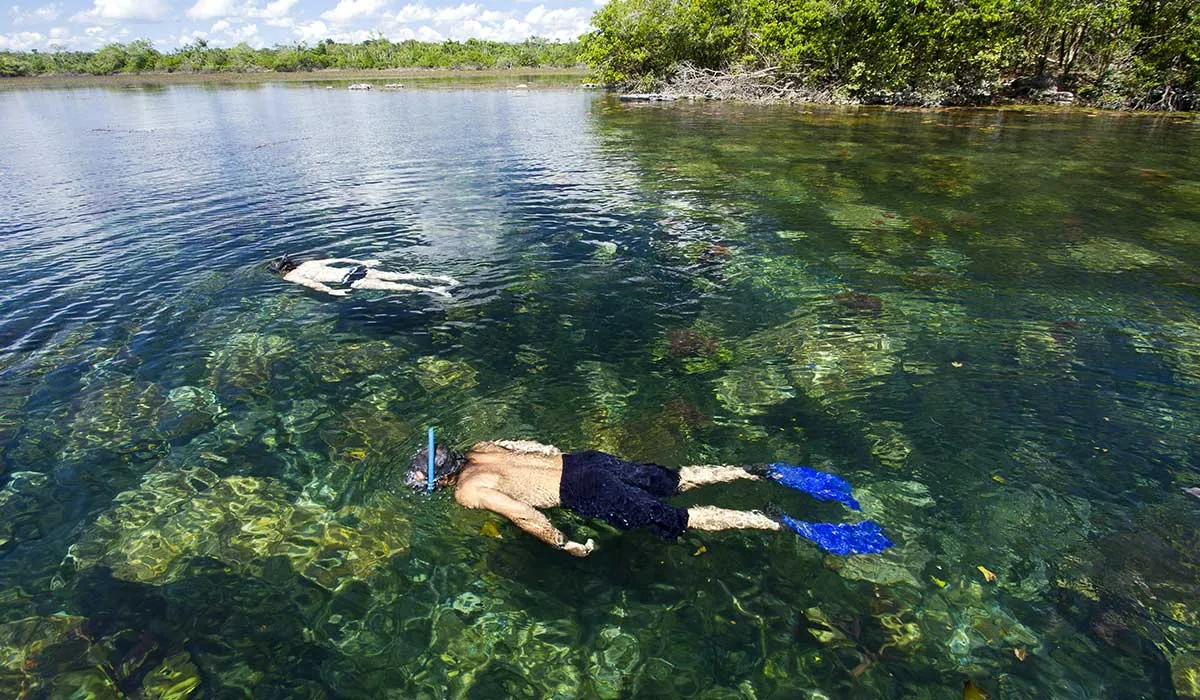 opciones de ecoturismo en México