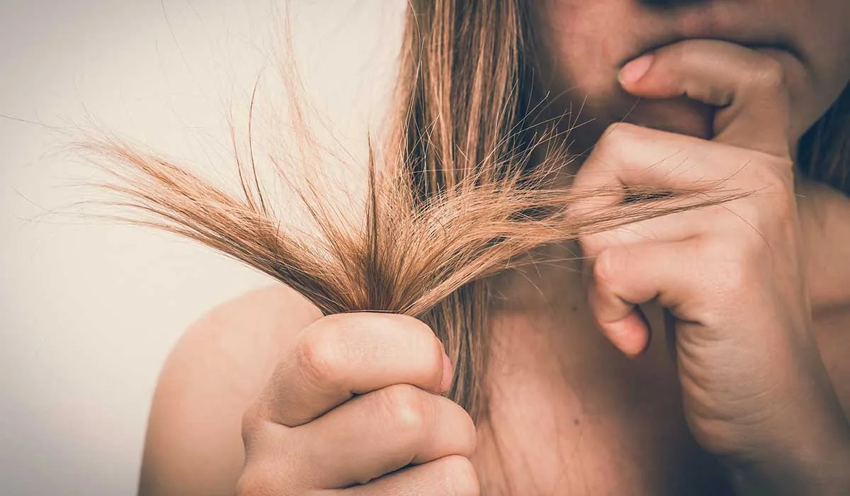 remedios naturales para el cabello seco y maltratado