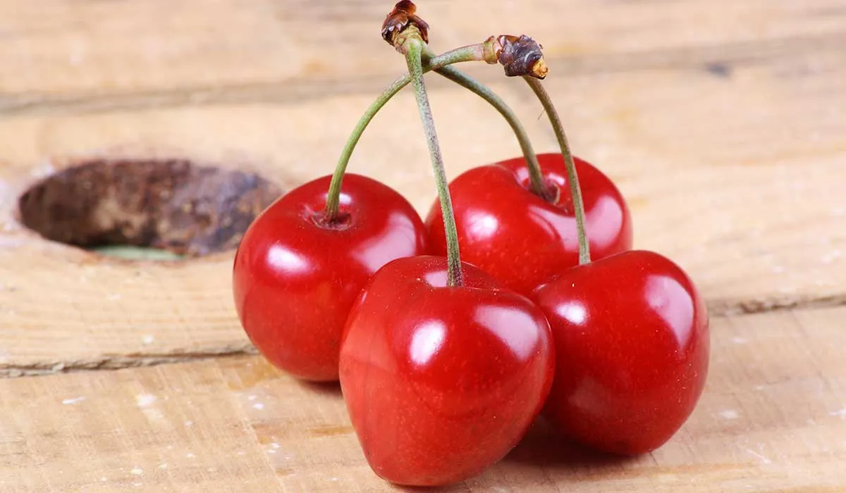 el jugo de cereza te ayudará a dormir toda la noche