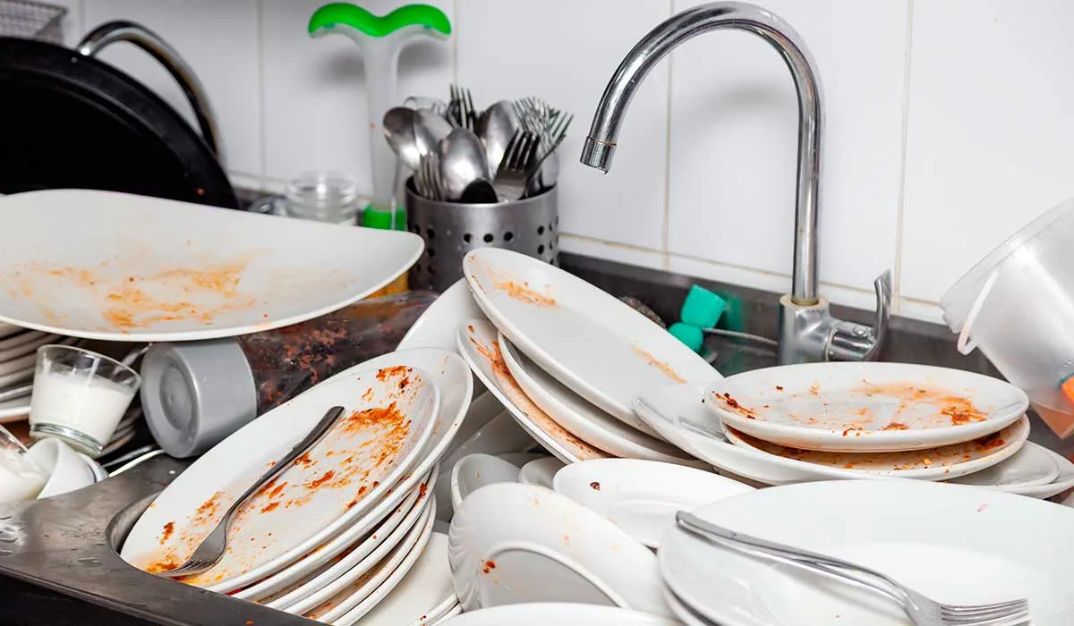 evita que las plagas lleguen a tu cocina