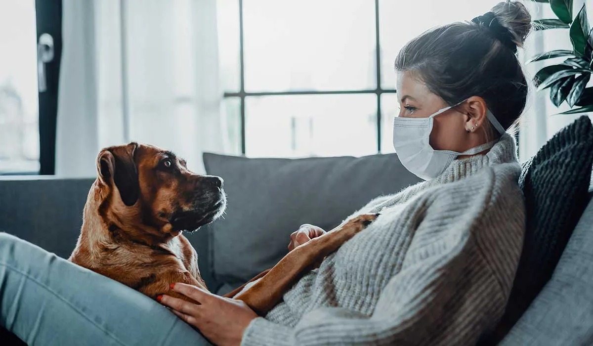 nuevo coronavirus es encontrado en perros