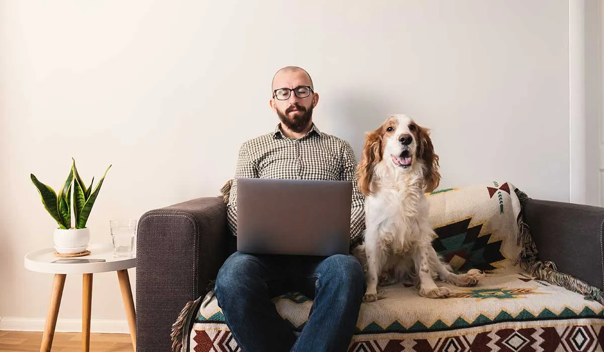 que mascota puedes tener en tu departamento y vivir con éxito