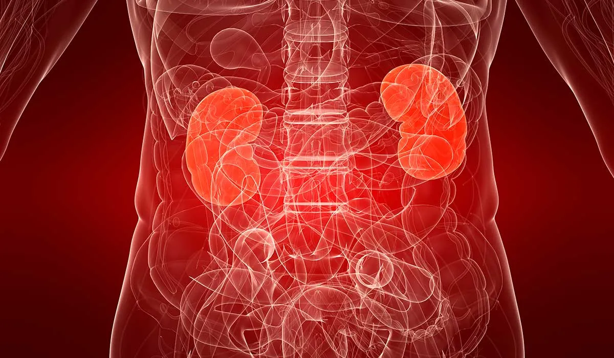 descubren daño permanente a los riñones por parte del covid