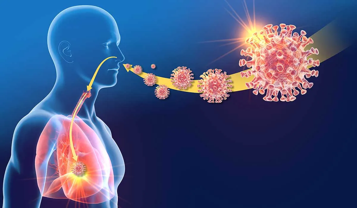 entienden como ataca el Covid a los pulmones