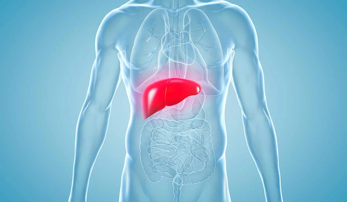 hiíado graso aumentó por pandemia