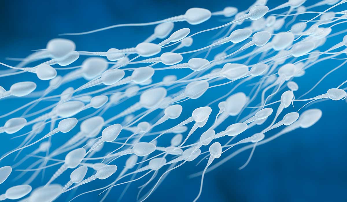 falta de espermatozoides en eyaculación