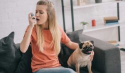 combate el asma adoptando una mascota