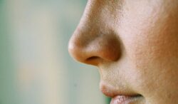 este es el origen de la forma de tu nariz