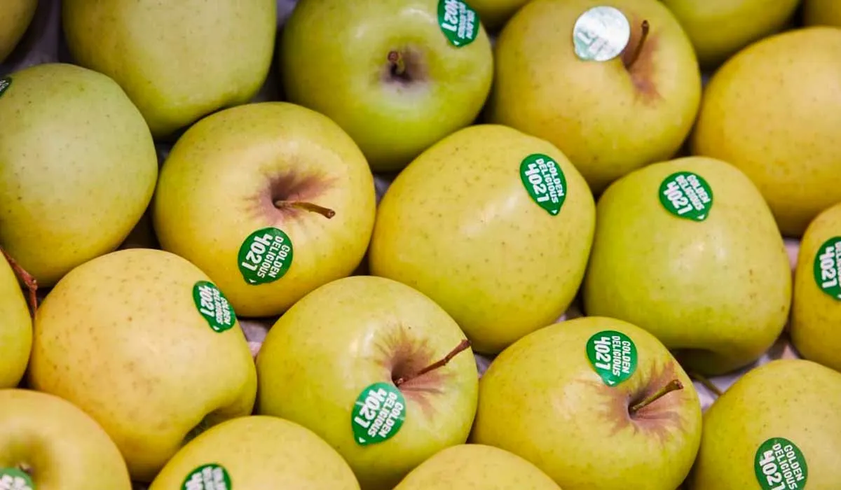 evita tirar estas cosas por tu desagüe