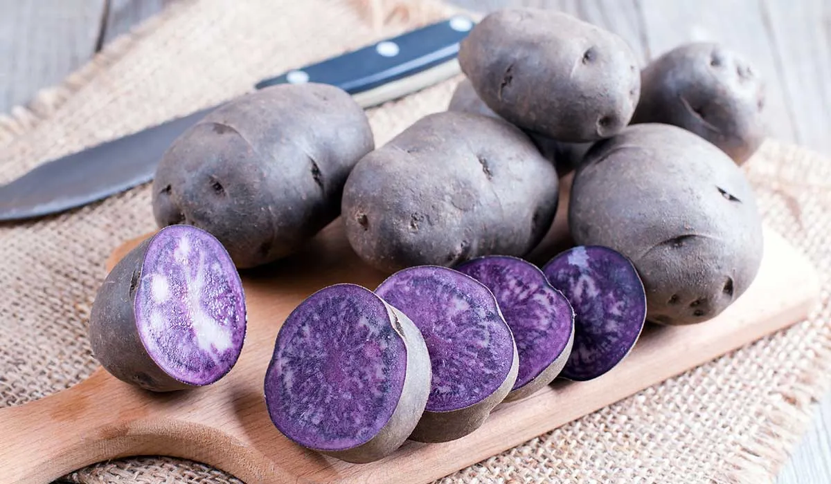 mira todo lo que la papa morada puede hacer por tu salud