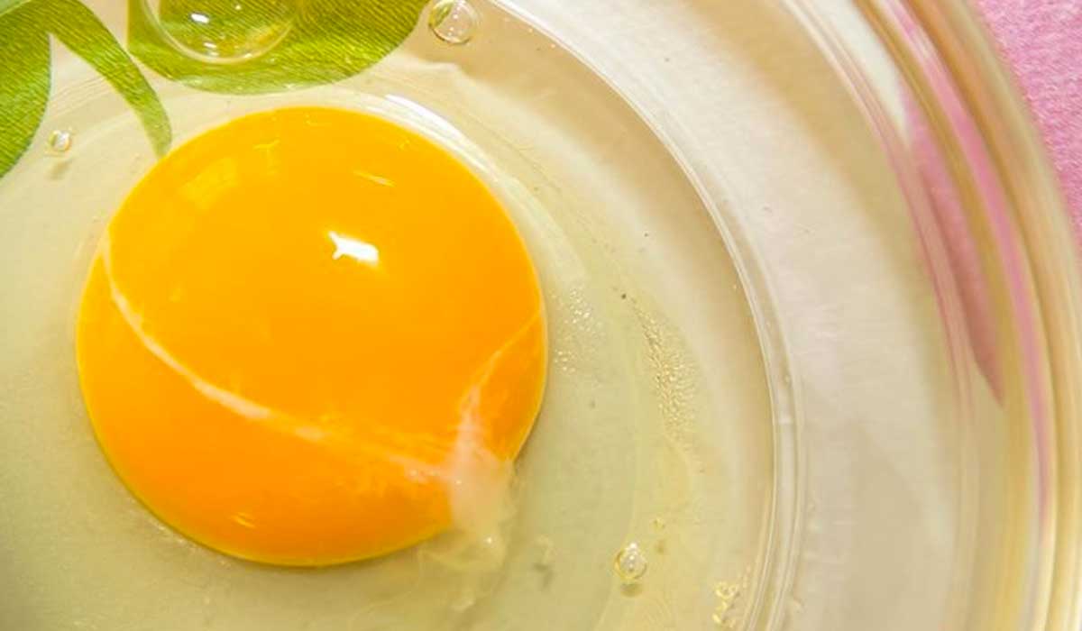 ¿qué es el hilo blanco que aparece en el huevo?