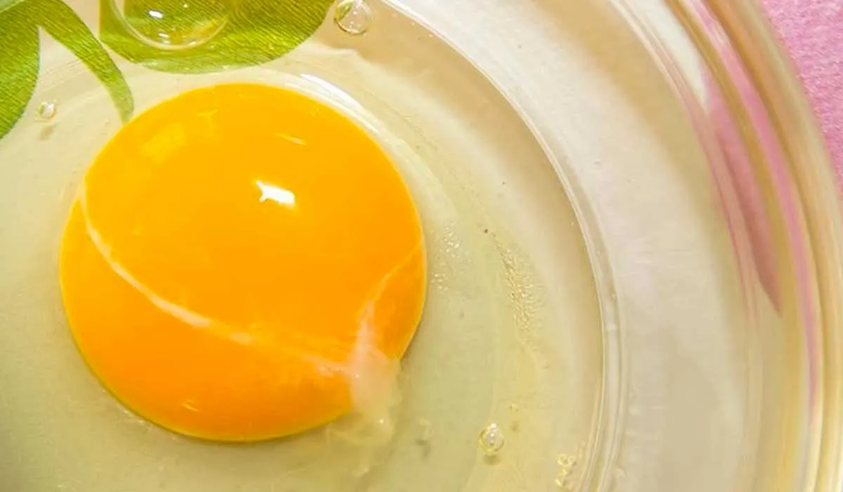 ¿qué es el hilo blanco que aparece en el huevo?