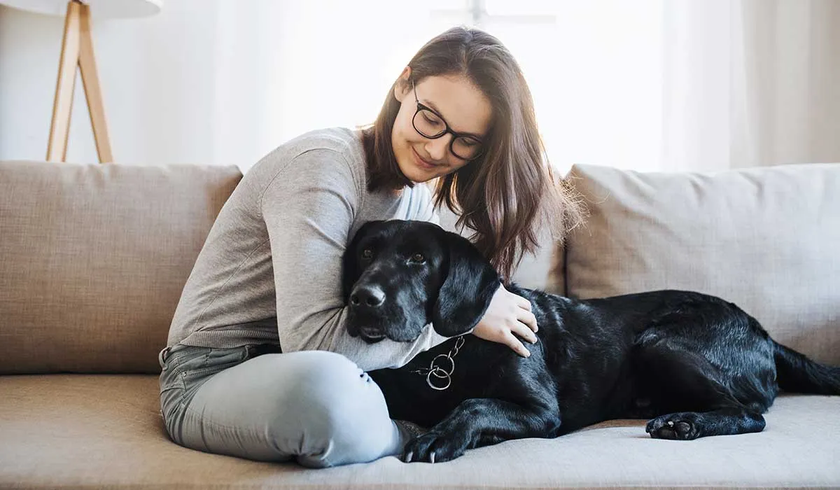 signos de que tu mascota puede estar en peligro y verse sana