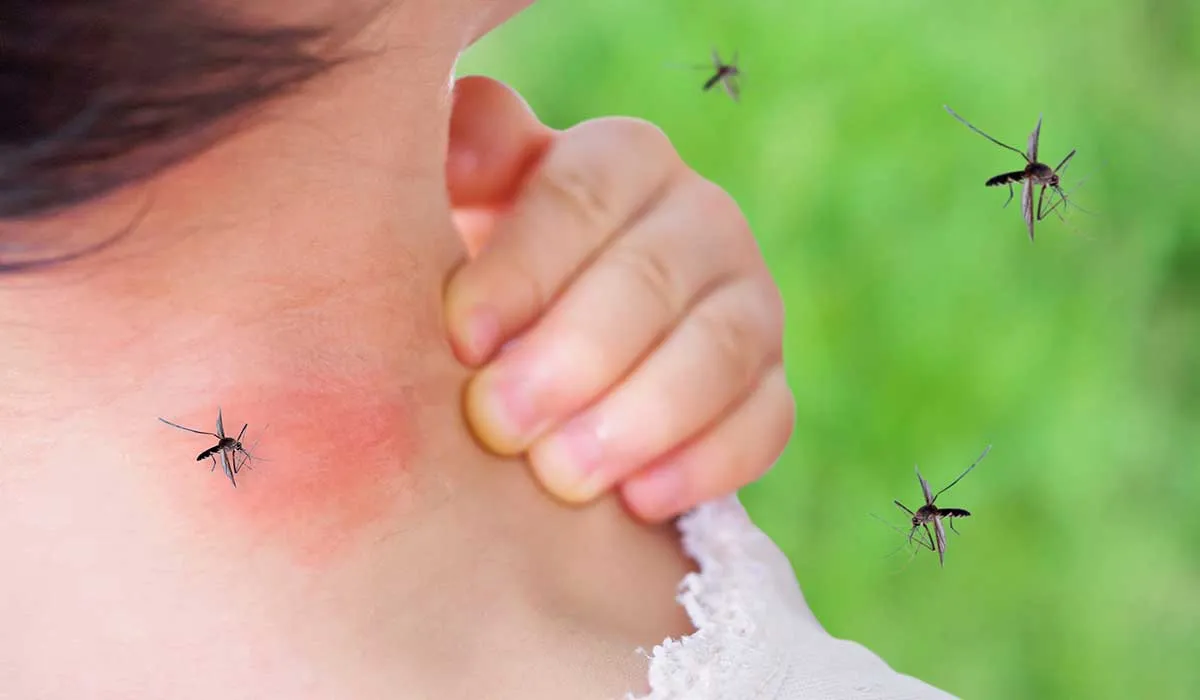 conoce por qué te pican los mosquitos