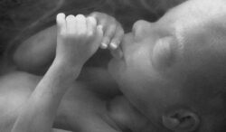 datos raros sobre los bebés recién nacidos