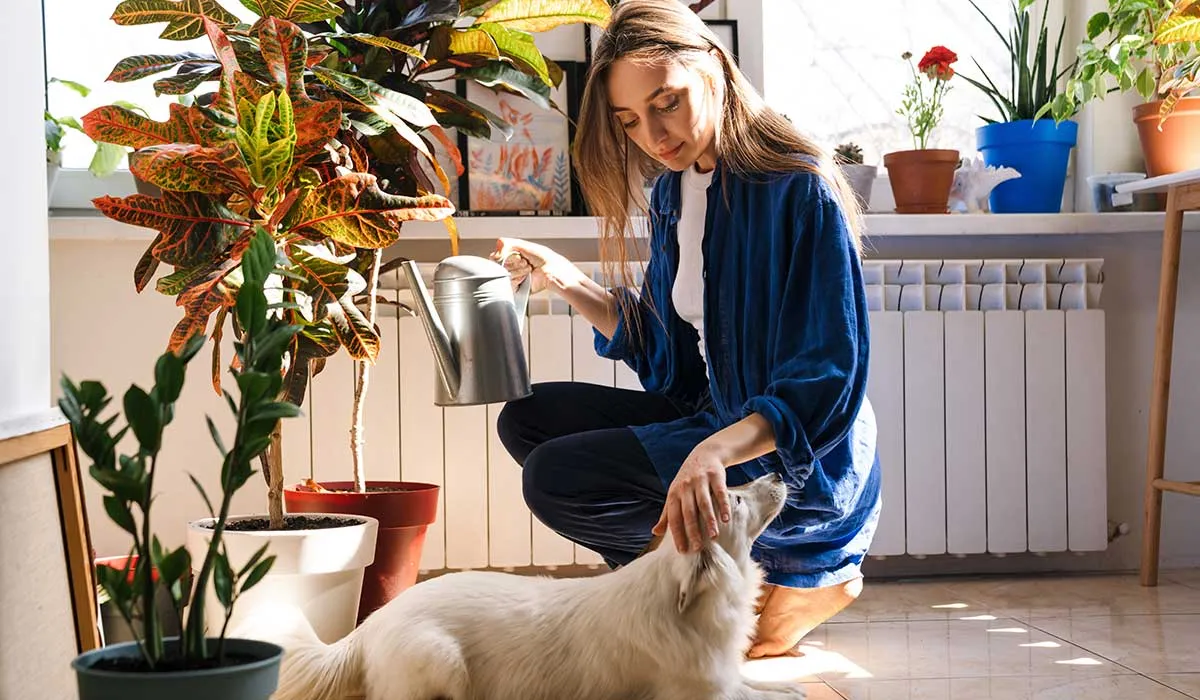 plantas que pueden intoxicar a tu perro