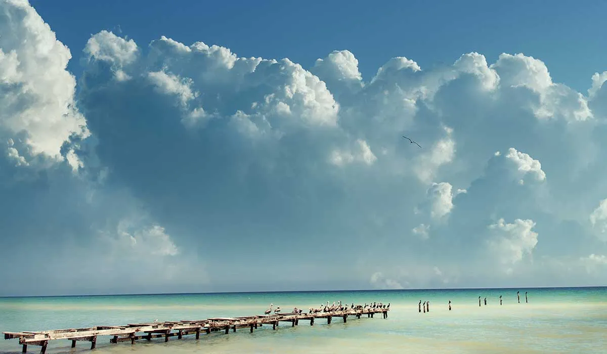 escápate y disfruta del Cuyo en Yucatán