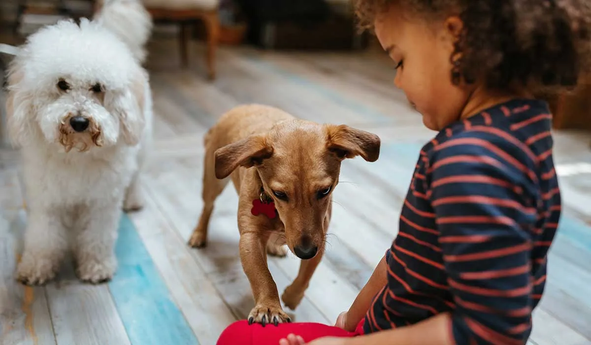 estos son los increibles beneficios que obtienes con una mascota