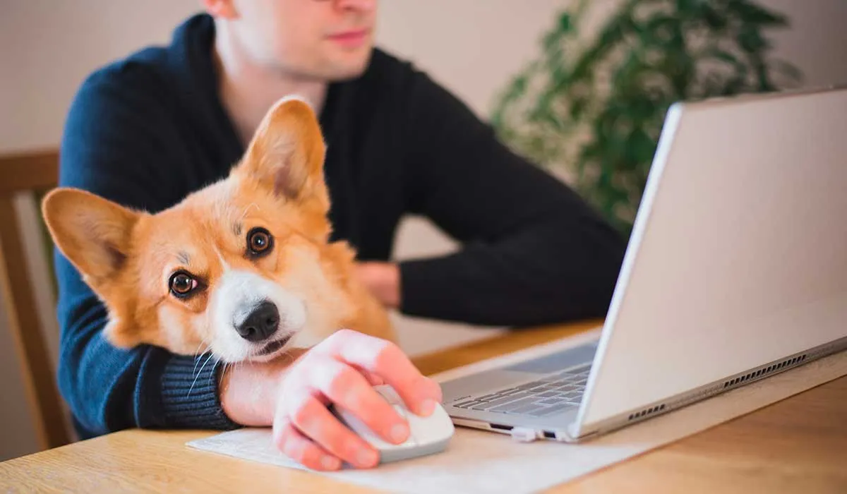 las complicaciones de trabajar en casa