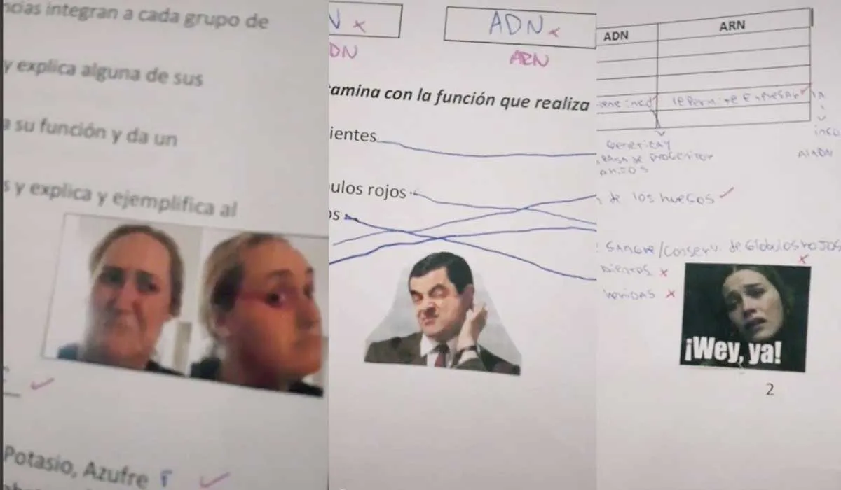 maestra califica con memes a sus alumnos