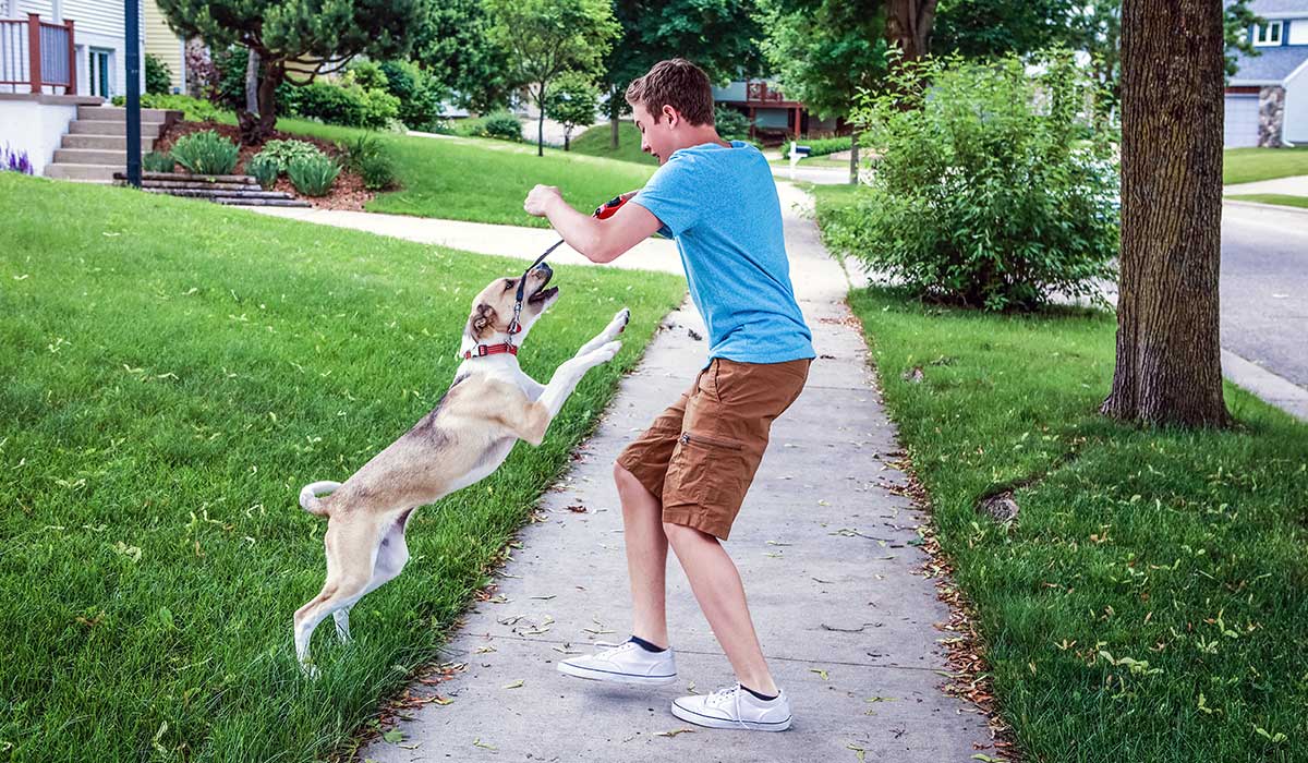 cómo evitar que tus mascotas salten a las personas
