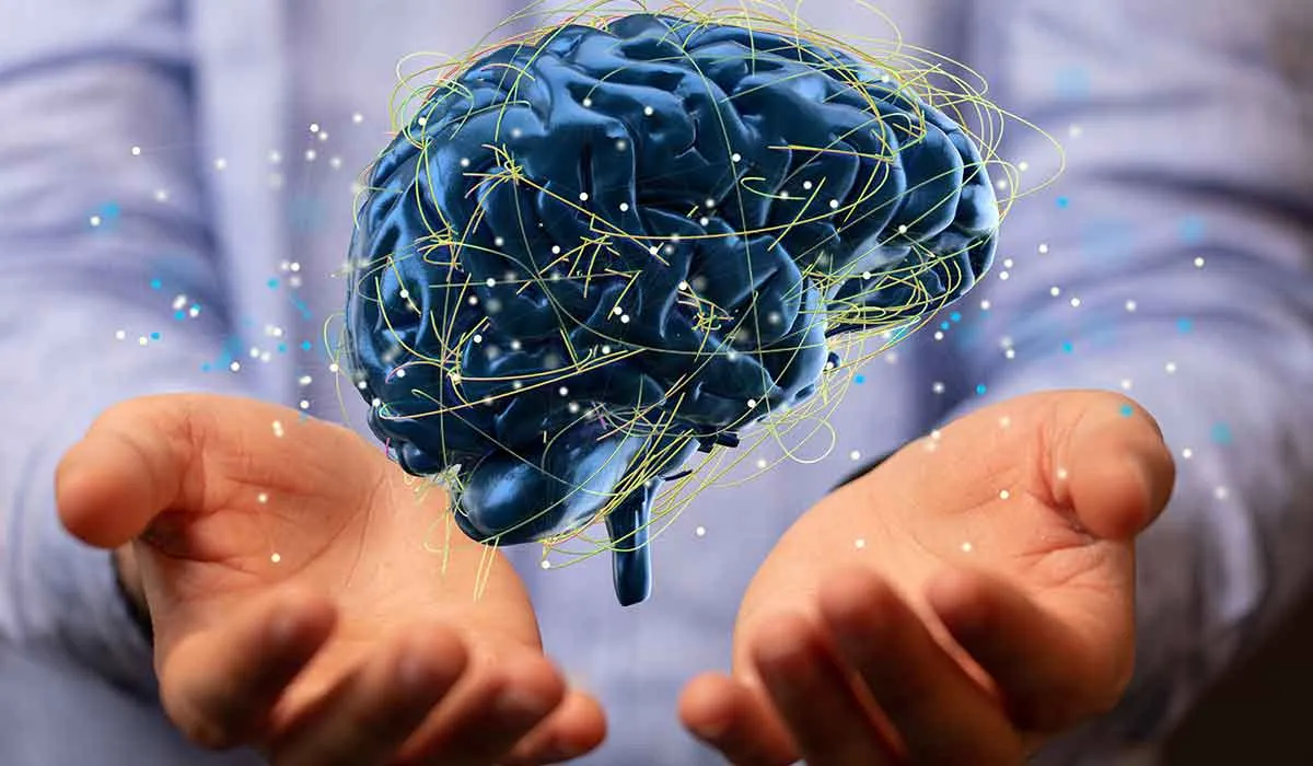 cuidado y mantenimiento del cerebro