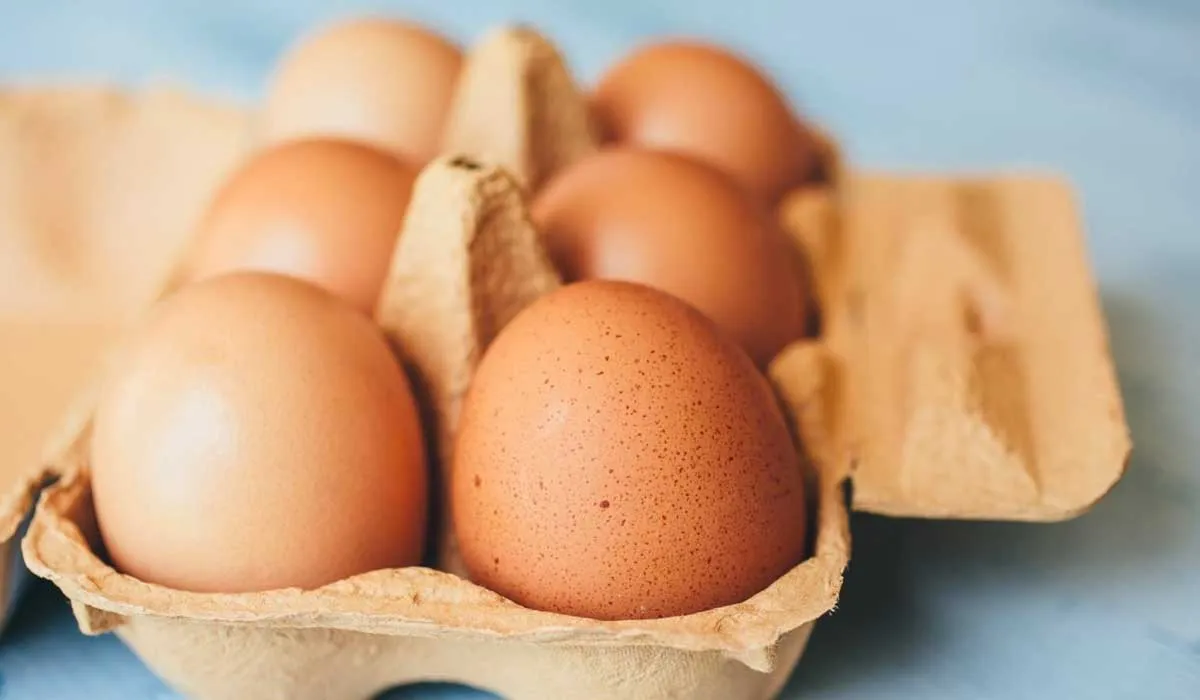 qué son las manchas en las huevos