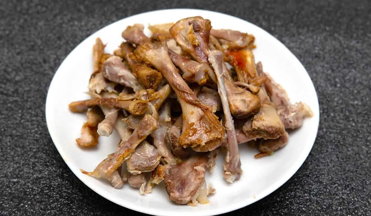 evita darle de comer esto a tu mascota