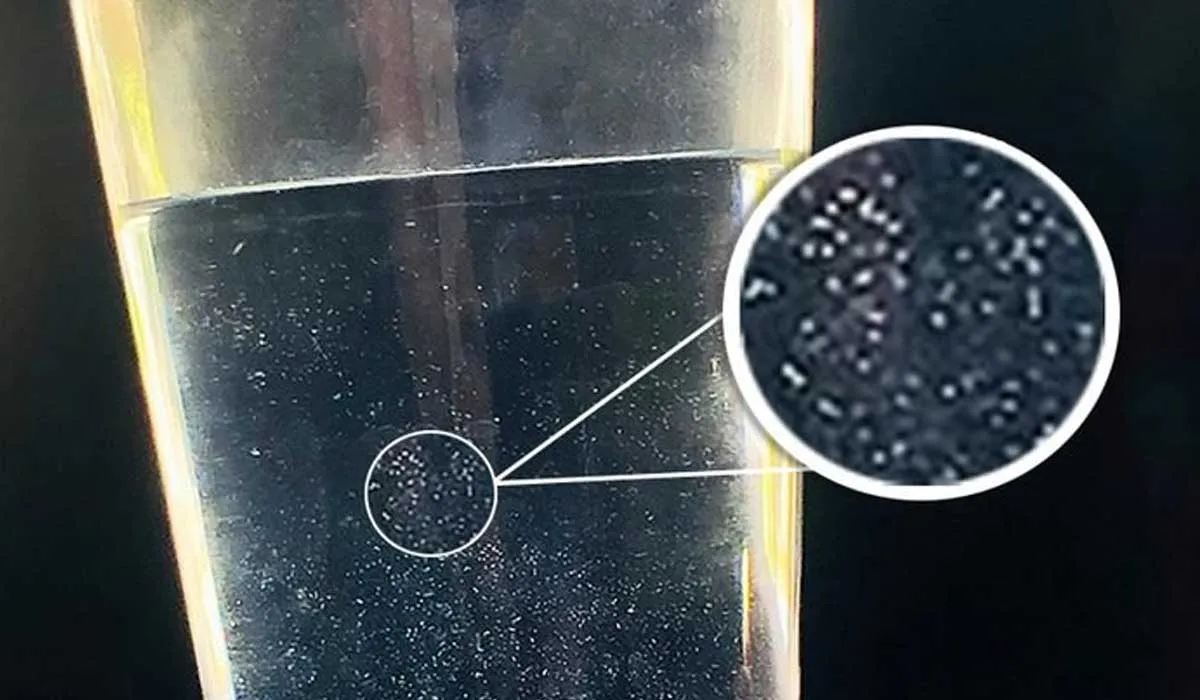 que son las cosas blancas que aparecen en el agua