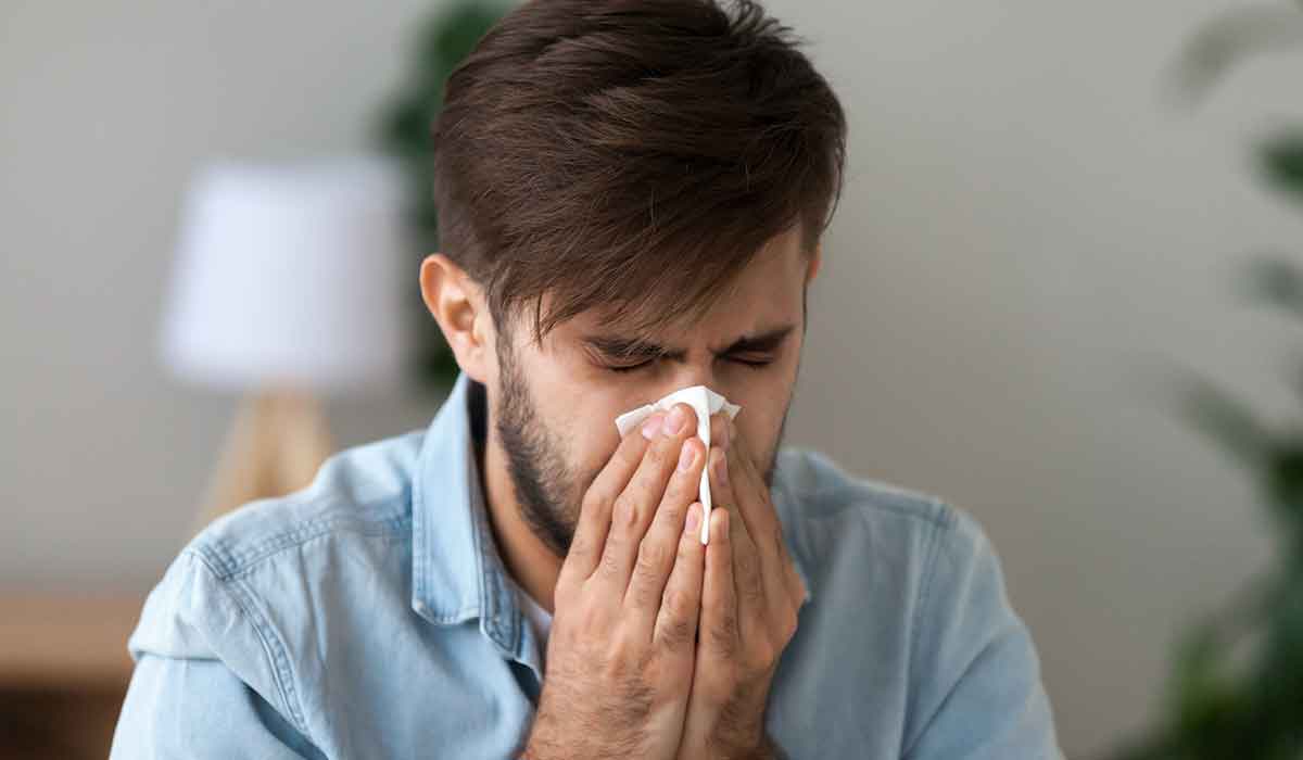 resfriado y gripe podrían ayudar contra el covid