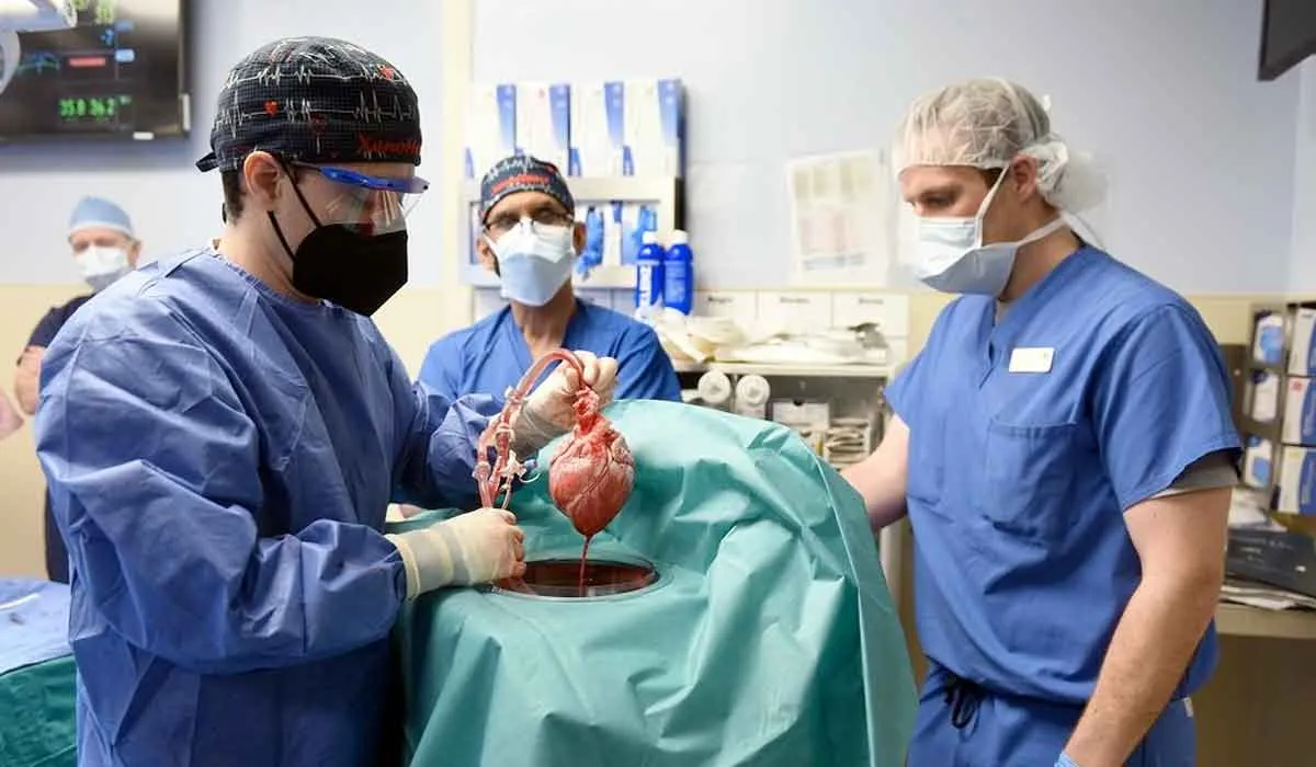 trasplante de un corazón de cerdo a un humano