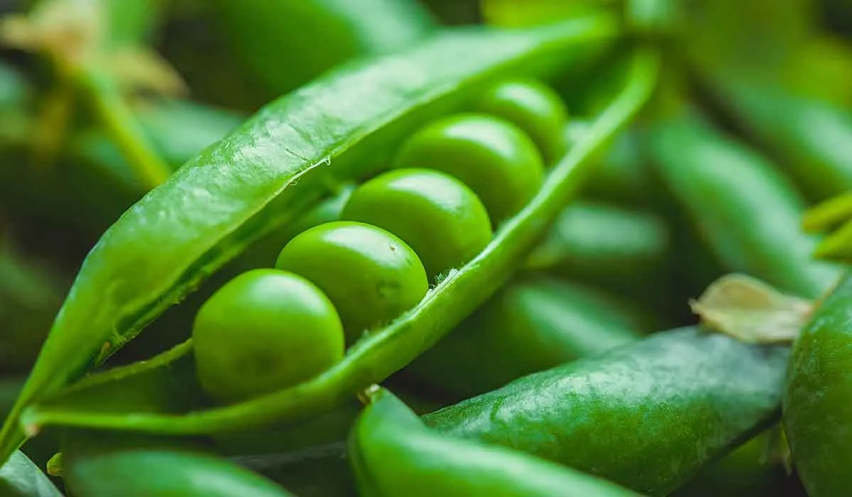 estos alimentos harán que tu cabello luzca increíble