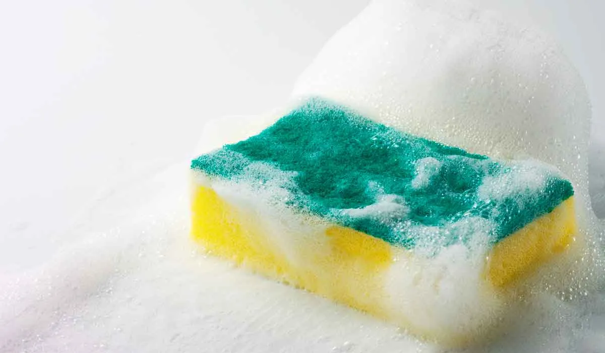 la zona que más bacterias en tu casa tiene