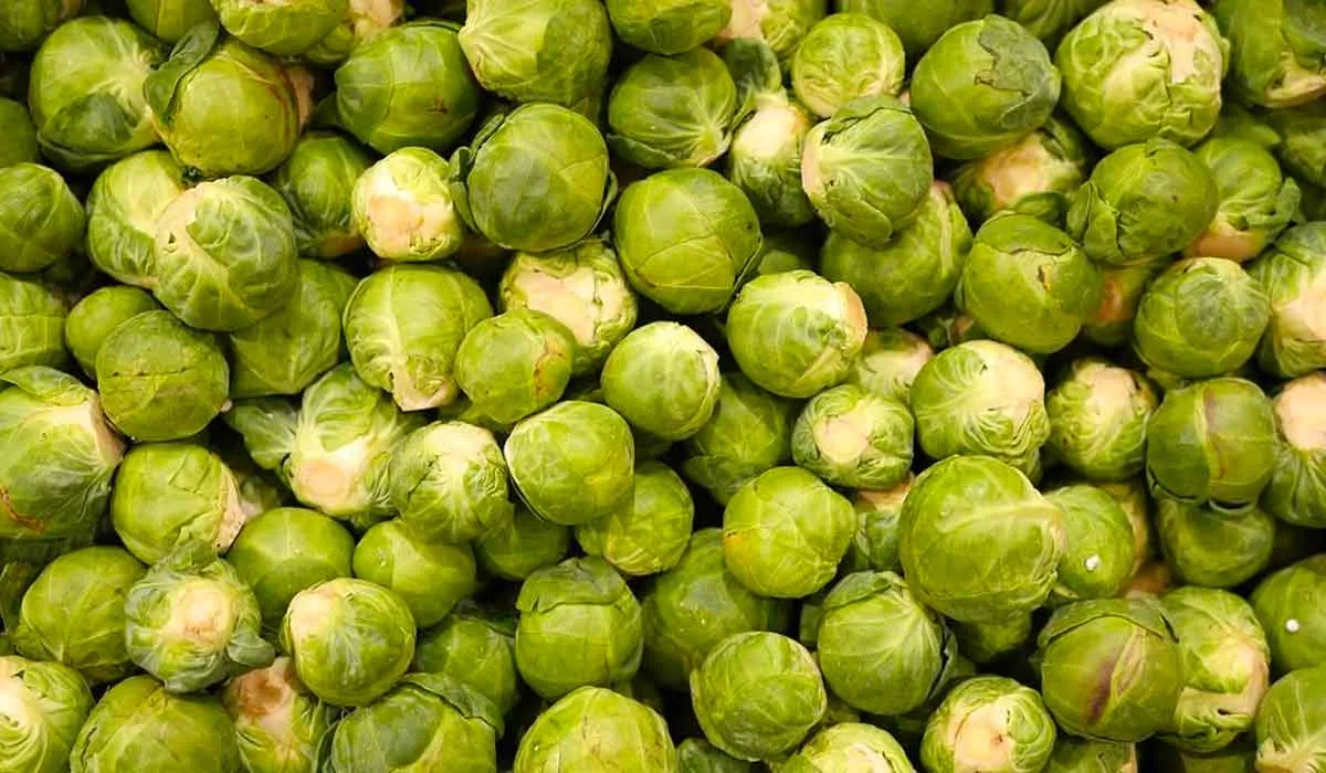 mejora tu circulación con estos alimentos
