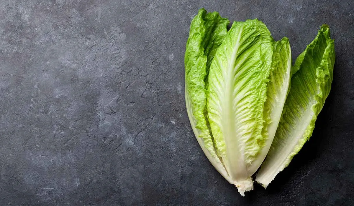 modo fácil para cortar la lechuga