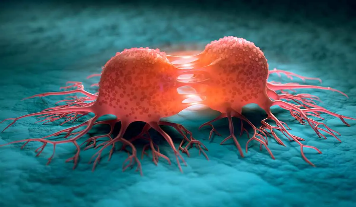 esta planta mexicana podría ser de gran ayuda en la lucha contra el cáncer