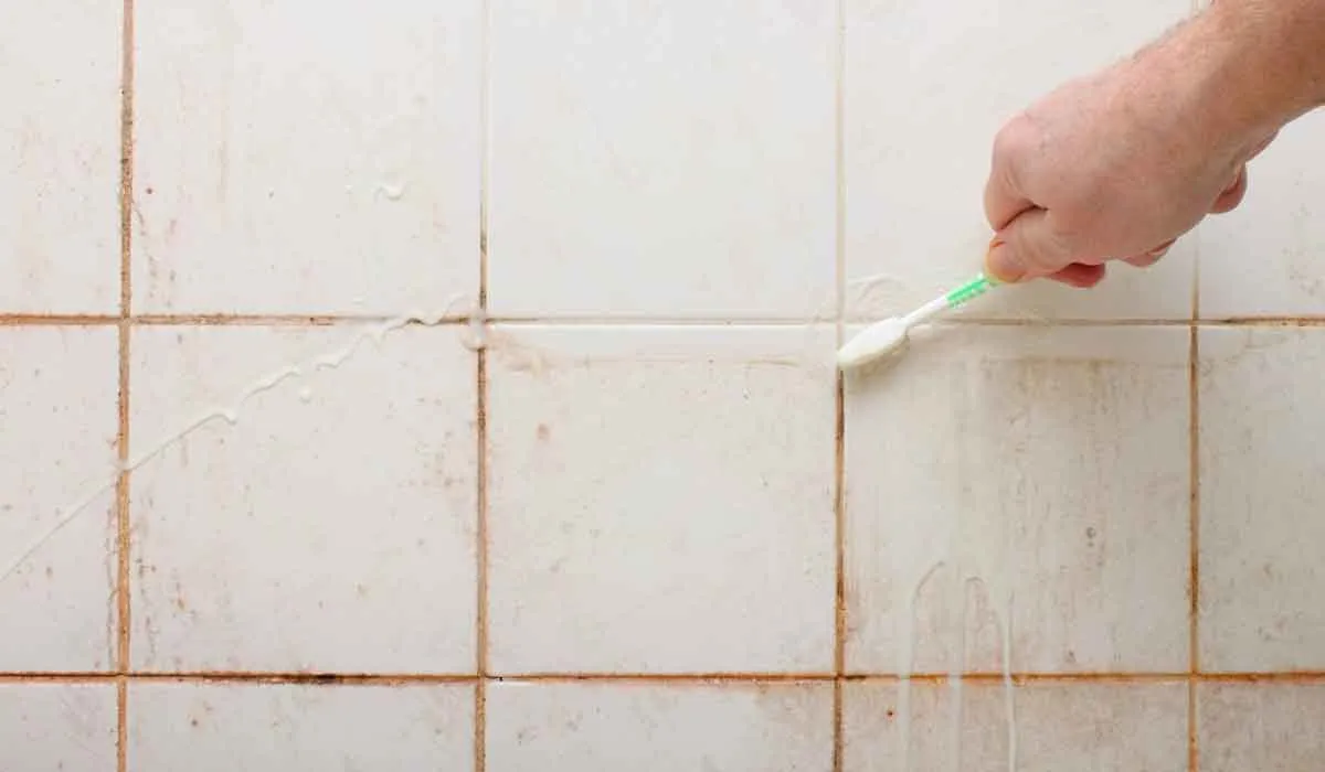 cómo eliminar el moho rosa de la ducha