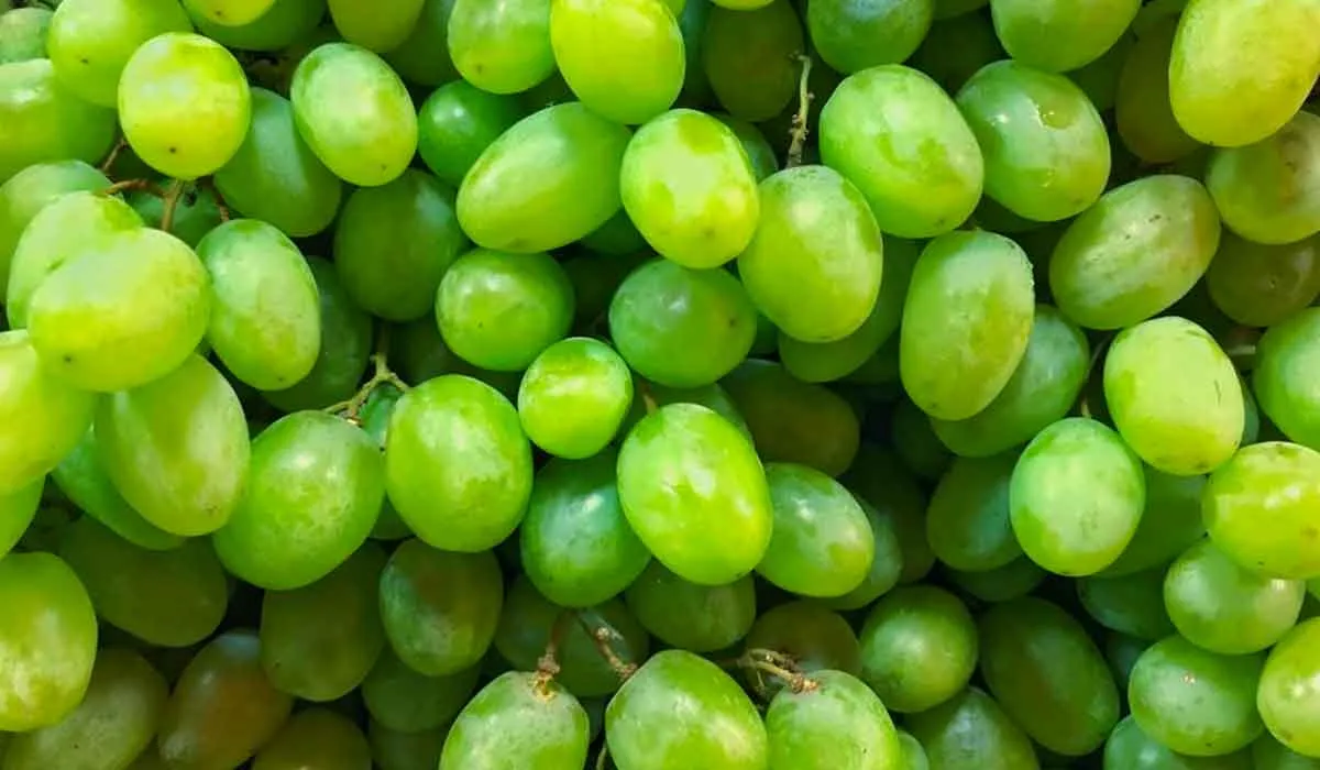 estos alimentos te ayudan contra la inflamación