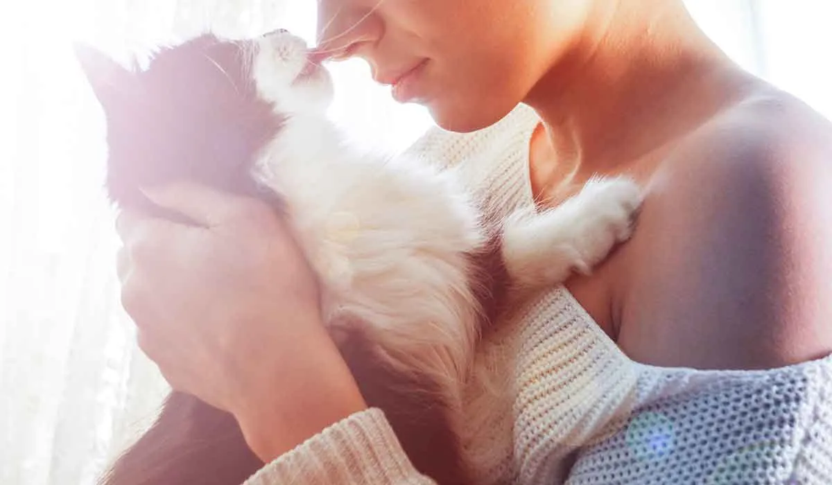 por qué tu gato te lame después de morderte