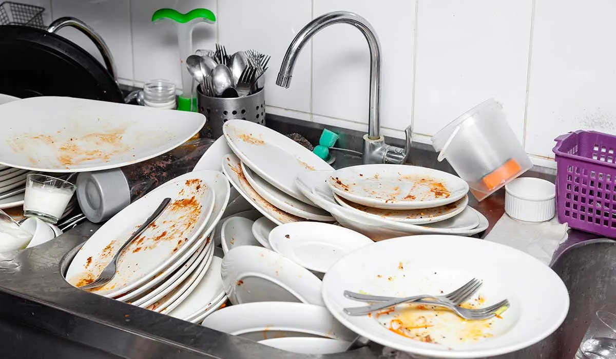 evita que las plagas lleguen a tu casa con estos tips