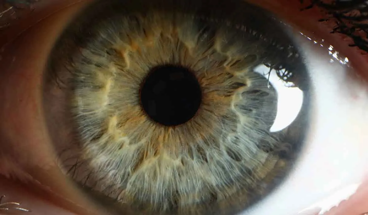 habilidades de las personas que podrían calificarse como poderes