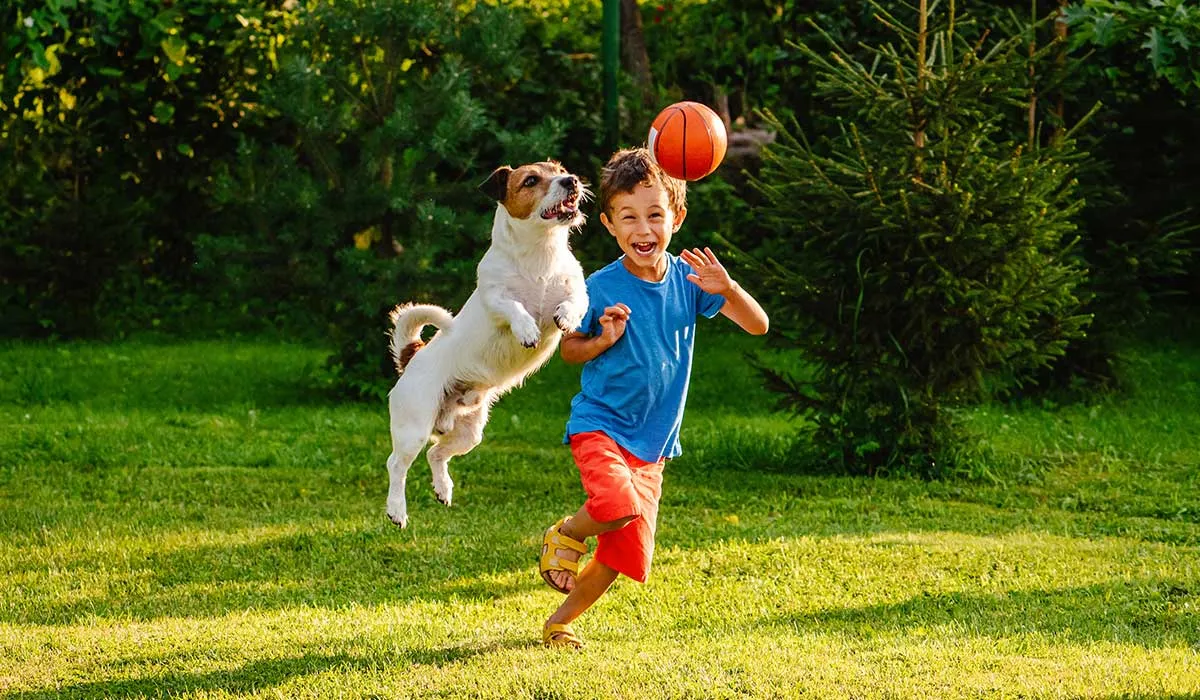 perros que se llevan bien con los niños