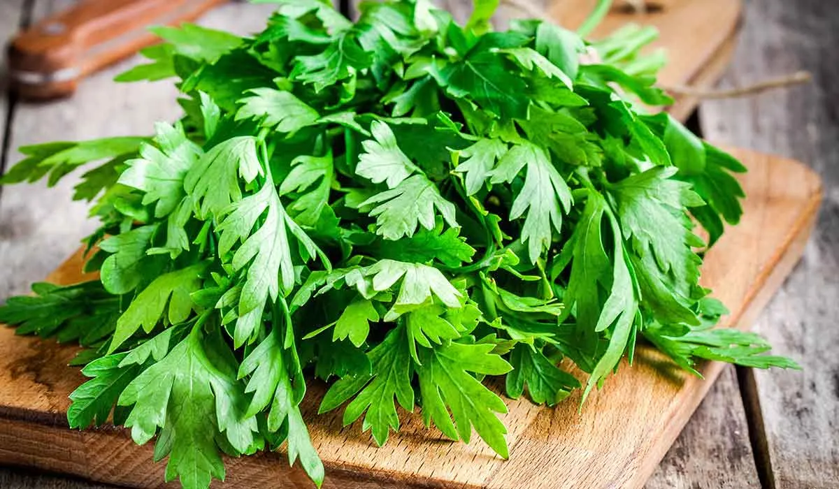 beneficios que el perejil tiene para la salud