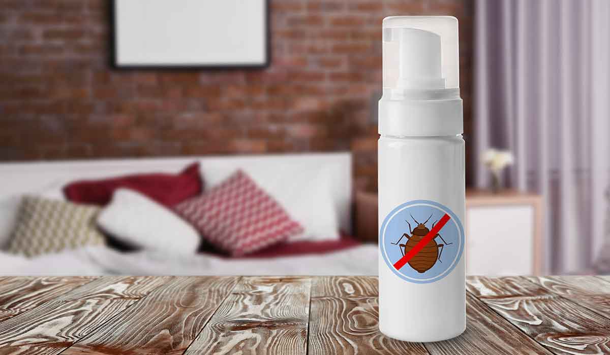 por qué no usar spray contra insectos en casa