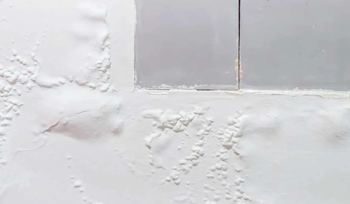 burbujas en tu pintura y cómo eliminarlas