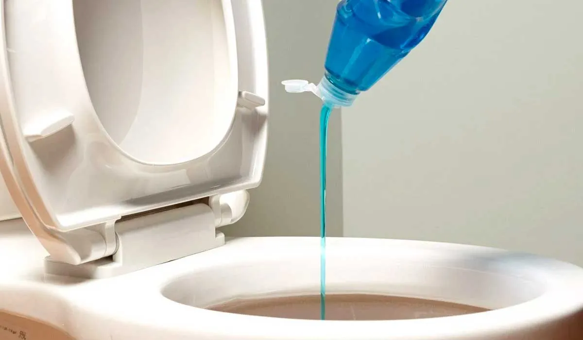 destapa tu inodoro sin destapacaños