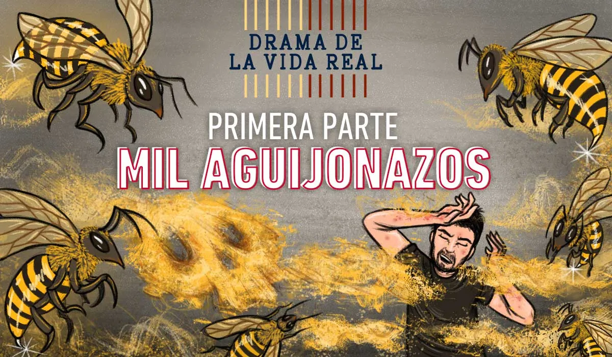 estas personas fueron atacadas por un enjambre de abejas africanas