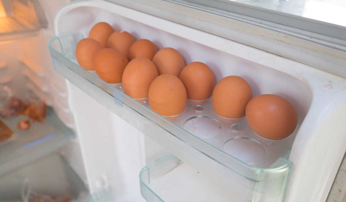 se deben refrigerar los huevos o no