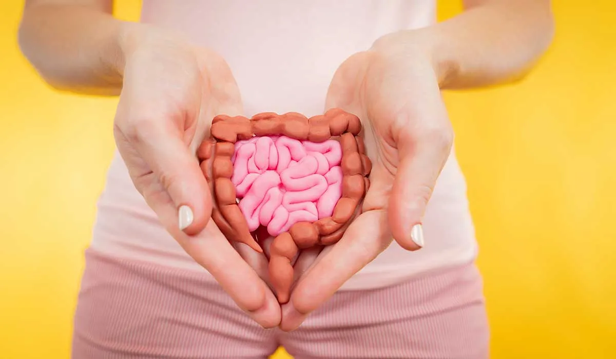 secretos de salud que tu intestino quiere decirte