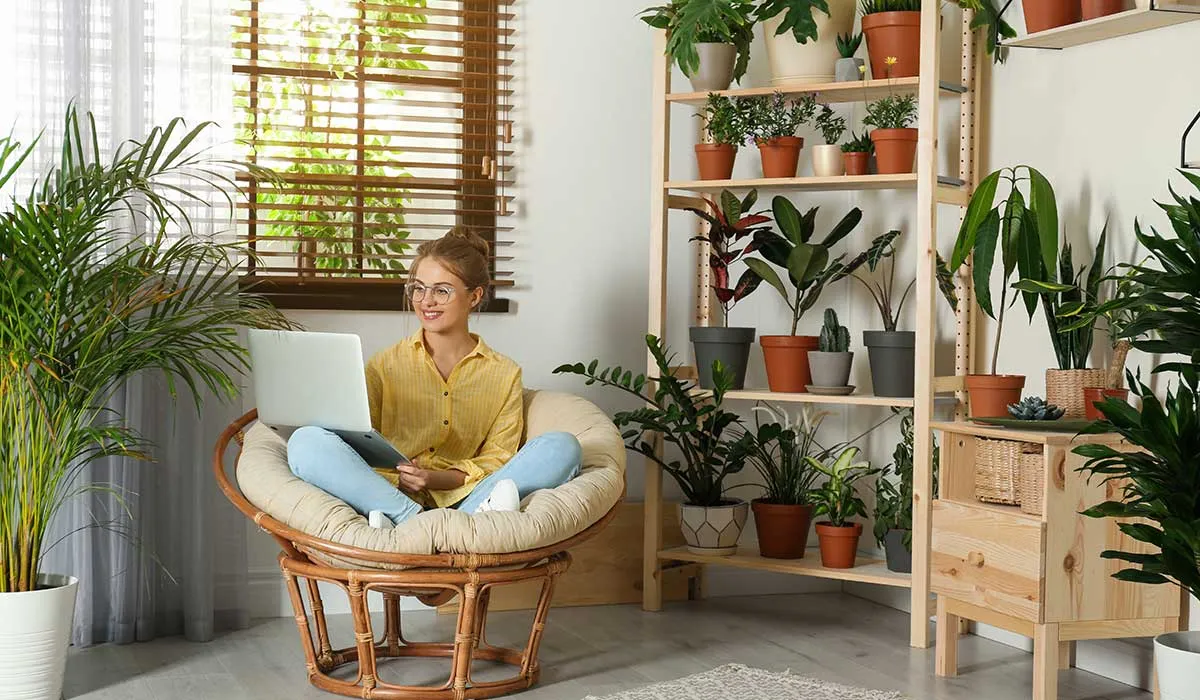 mantén tus plantas vivas cuando sales de viaje